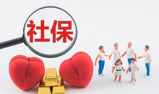 社保卡账号怎么查询（宝宝社保卡账号怎么查询）