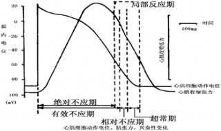 组织处于绝对不应期,其兴奋性是什么? 组织处于绝对不应期,其兴奋性(