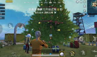 海岛地图圣诞树位置 海岛圣诞树在哪