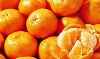 芦柑和橘子有什么区别 橘子与芦柑有何不同