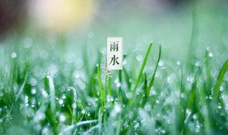 雨水经典祝福语（雨水祝福短句）