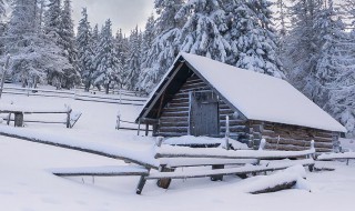 孩子们下雪心情说说 下雪了孩子们的心情说说