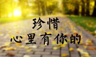 多感悟人生让你更懂人生（懂得人生感悟）