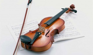 小提琴都有什么技巧 小提琴都有什么技巧呢