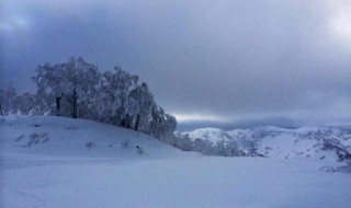 北国风光千里雪飘全诗（北国风光千里雪飘全诗书法作品）