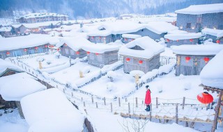 下雪的有意境的短句子 下雪的有意境的短句子小学