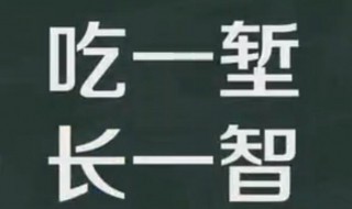 吃一堑长一智相似谚语（吃一堑,长一智是什么谚语）