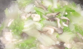 白菜豆腐焖蘑菇（白菜豆腐炖蘑菇）