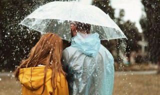 雨水节气手抄报内容 雨水节气手抄报内容资料