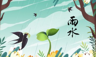 2021年节气雨水几点交节（2021 雨水节气 时间）