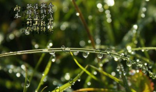 2021年雨水节气有什么含义（2021年雨水节气具体时间）