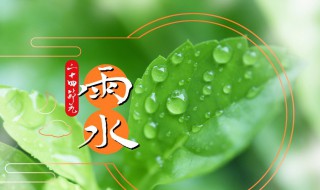 二十四节气雨水食谱（二十四节气关于雨的节气）