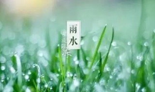 雨水节气三候特点 雨水节气三候特点是