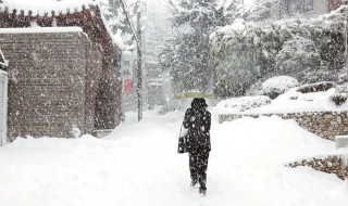 大雪的寓意和象征 大雪的寓意和象征