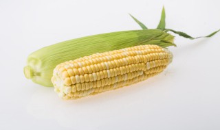 玉米糁需要淘洗吗 玉米糁用水淘吗