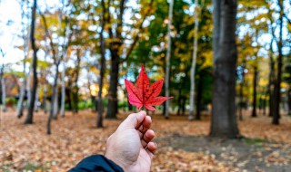 秋天文案短句干净治愈 秋天文案短句干净治愈校园