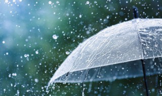关于雨水节气经典诗词鉴赏分析 关于雨水节气的诗