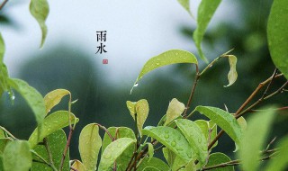 关于雨水节气的古诗词（关于雨水节气的古诗词句）