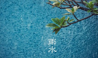 2021年节气雨水表示什么含义 今天是2021年的雨水节气