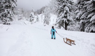 雪中经典语录短句 雪中经典语录短句悍刀行