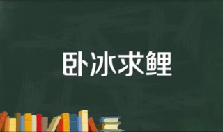 卧冰求鲤的故事 卧冰求鲤的故事概括20字