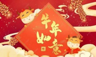 春节领导祝福短信 春节祝福领导的短信