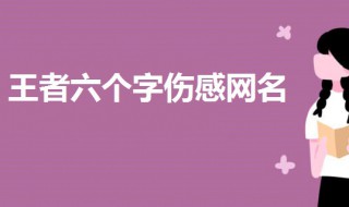 比较伤感的王者名六个字（王者荣耀好听六个字的名字伤感）