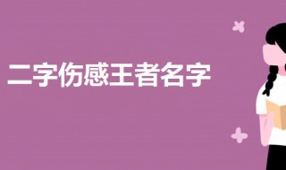 二字伤感王者名字 王者伤感名字2字