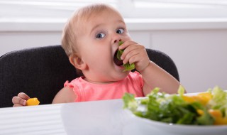 婴儿辅食食谱及做法（一周岁婴儿辅食食谱及做法）