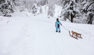 看到雪景的心情句子（看到雪景的心情句子简短）