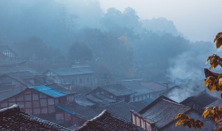 沙湖晚归的意象是什么（沙湖晚归的意思）