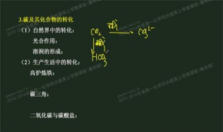 二氧化碳与碱反应方程式（二氧化碳与碱反应方程式及现象）