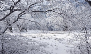 梦见地里白白霜是什么意思（梦见地里白白霜是什么意思啊）