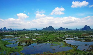 沼泽地被称为地球什么 沼泽是地球的