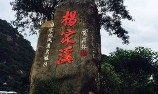 杨家溪玻璃栈道多长（杨家溪玻璃栈道多长啊）