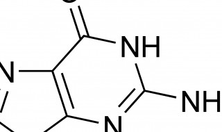 碱基被替换氨基酸序列没改变的原因 碱基被替换氨基酸序列没改变的原因是什么