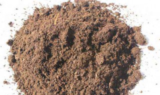有机营养土质是怎么制造的 有机营养土的使用方法