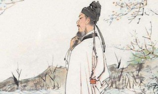 苏轼是哪个朝代的诗人 王安石是哪个朝代的诗人