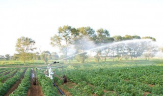 灌溉农业区耕地面积扩大的主要原因 灌溉农业区耕地面积扩大的主要原因是什么