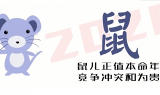 2020最吉的四大生肖 2020最吉的四大生肖是哪个