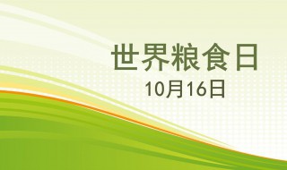 每年10月16日是什么节日