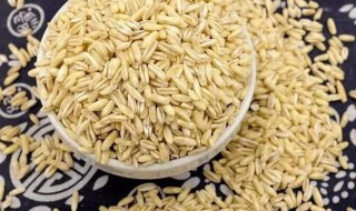 燕麦胚芽米的功效有哪些 燕麦米和胚芽米的功效一样吗