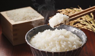 胚芽米糙米白米有哪些区别 白米,胚芽米,糙米的区别