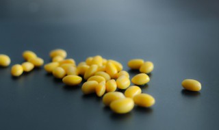 嫩黄豆怎么保存 新鲜嫩黄豆怎么保存