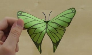 制作纸蝴蝶的方法（纸制蝴蝶的做法）