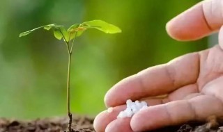 有机肥施用方法和步骤 有机肥料施肥方法