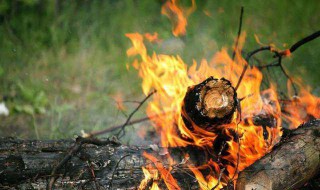古代保留火种的方法 古代人怎么保留火种
