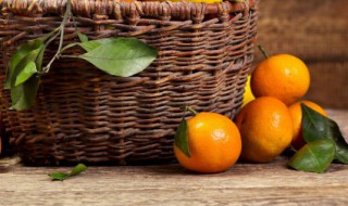 如何区分砂糖橘和蜜橘（砂糖橘与砂糖桔的区别）