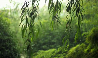 梅雨季节怎么保持室内干燥 梅雨季怎么保持屋子干燥