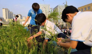 拔草寻蛇的典故 拔草寻蛇的故事